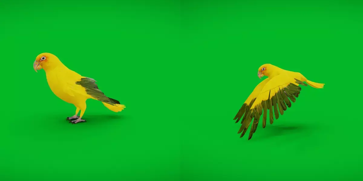 Golden Parrot Conure Low-poly 3D model