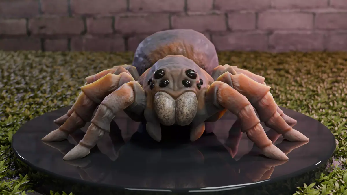 Spider Tarantula Low-poly 3D model