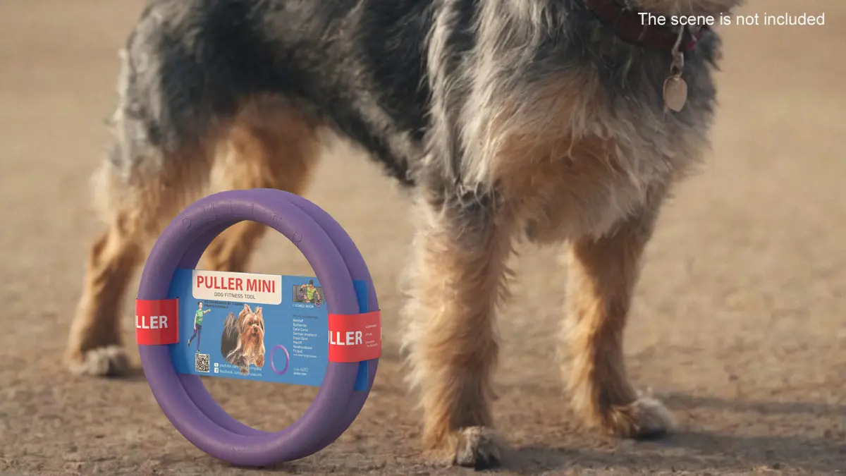 Dog Toy Puller Micro Package 3D model