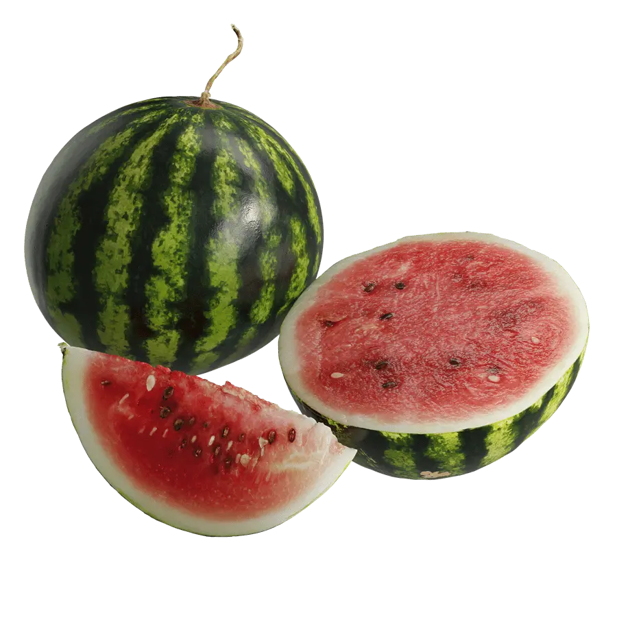  Watermelon Models 