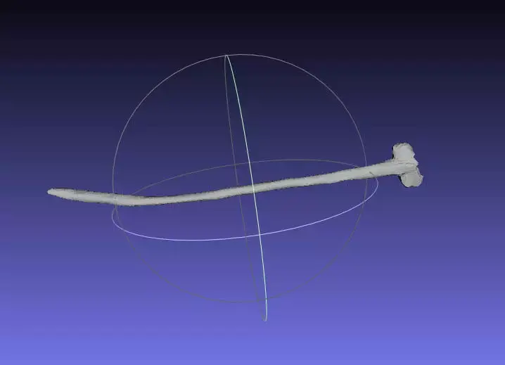 Psittacosaurus Anterior Cervical Rib Mirrored Free 3D print model