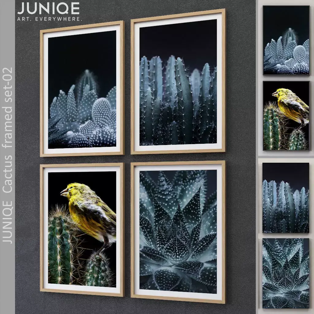JUNIQE Cactus framed set-02 3D model