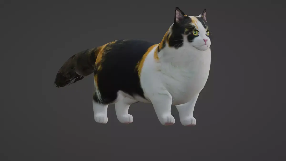 Cat Rigged 3D model