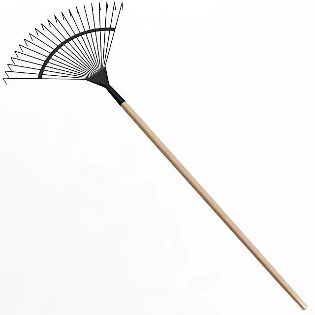 Fan Rake 3D model
