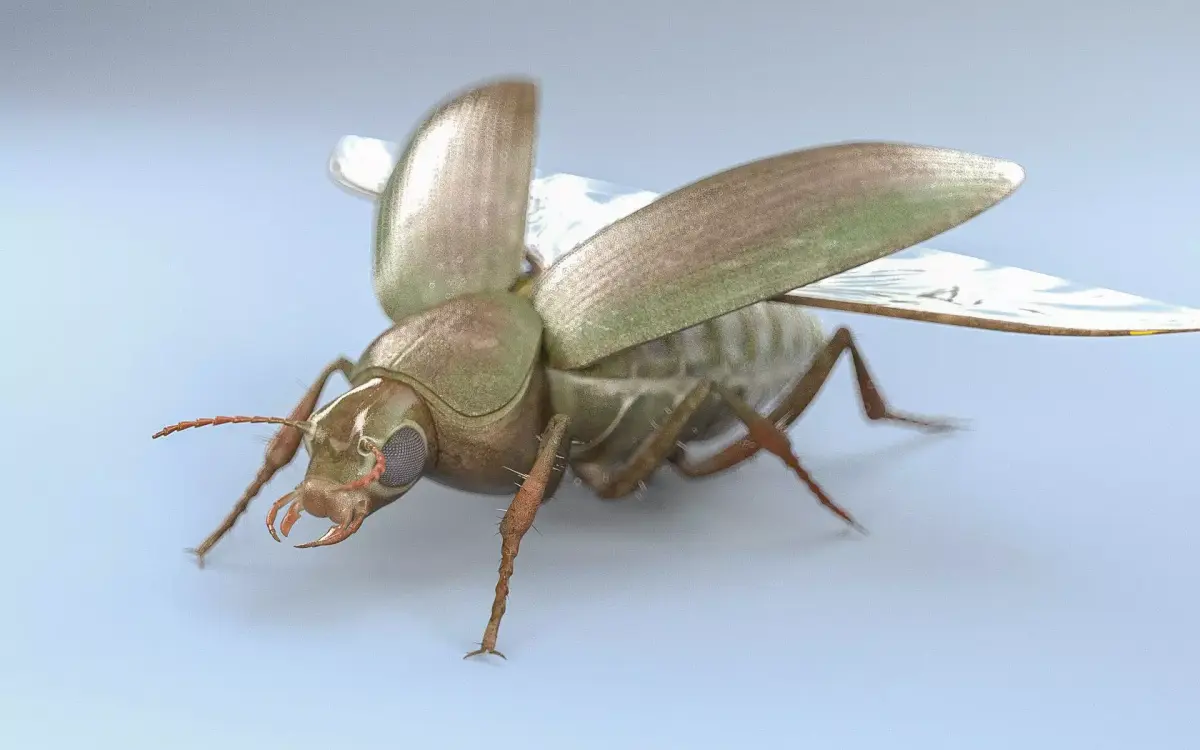 Ground Beetle Insect Low-poly 3D model