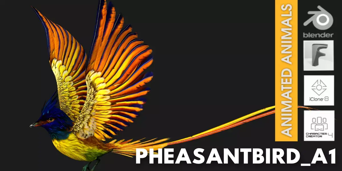 Pheasant Bird A1 Free 3D model