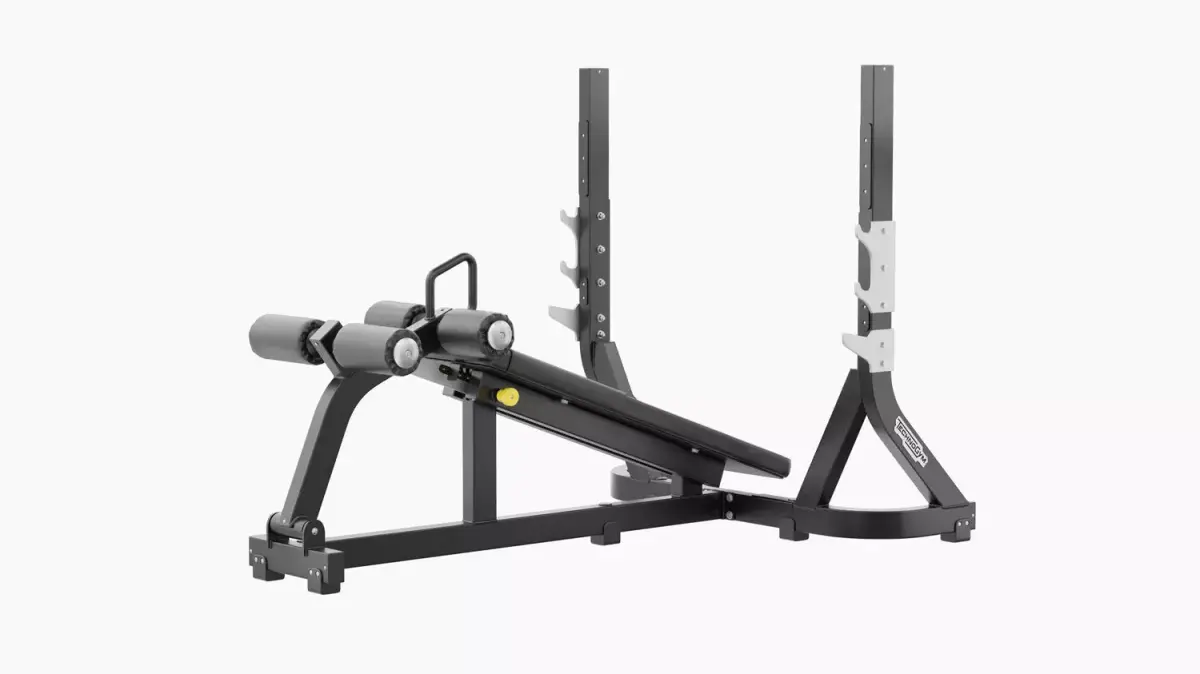Technogym Olympic Declined Bench Pure 3D model