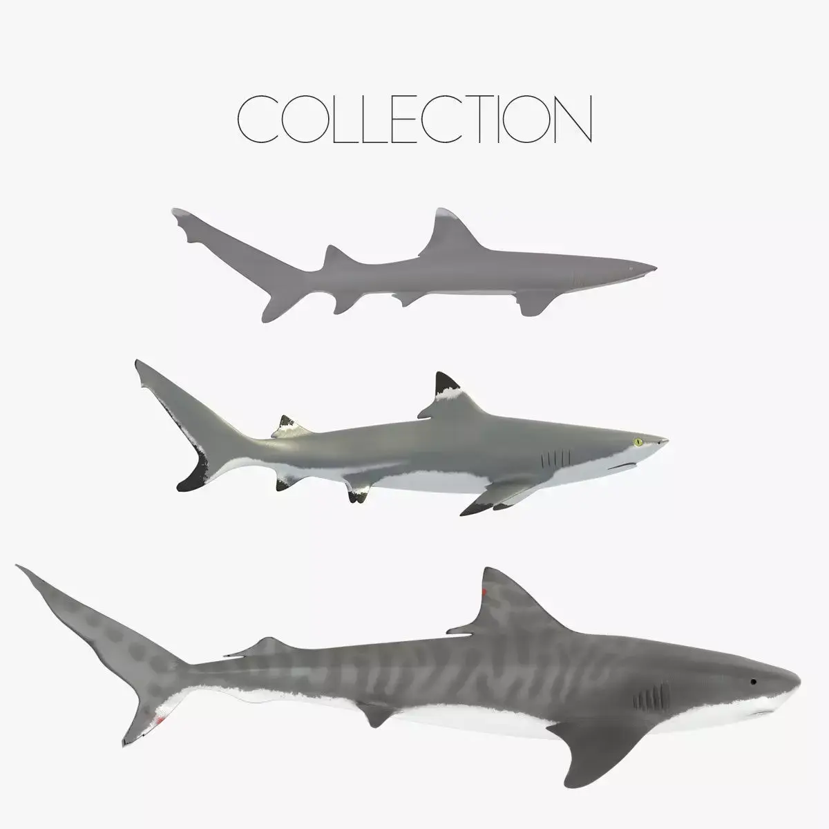 Sharks collection shark Low-poly 3D model