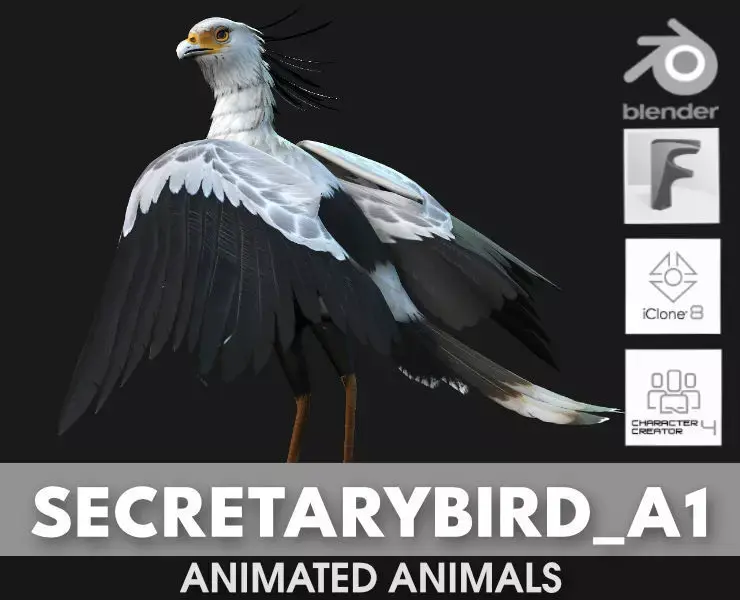 SecretaryBird A1 3D model