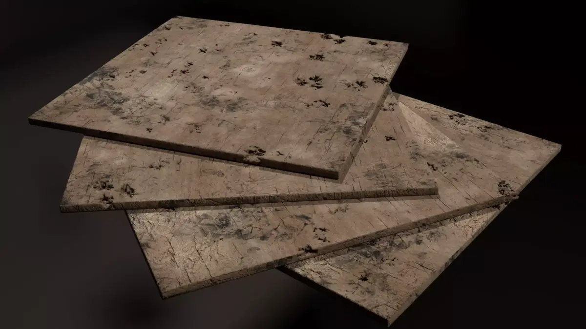 SPOILED OLD WOOD Free 3D model