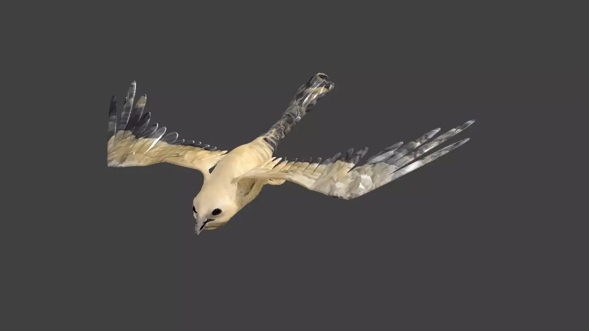kite animated Low-poly 3D model