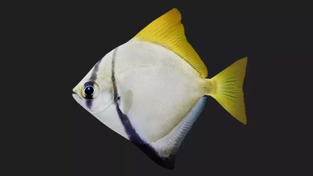 Pomfret Low-poly 3D model order