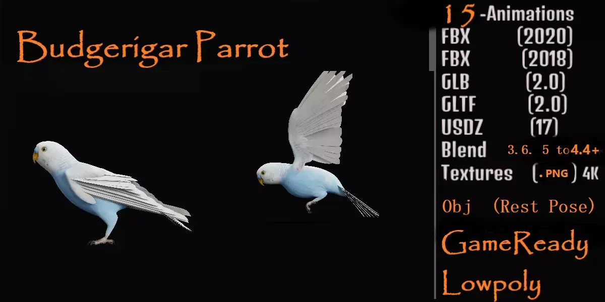 Budgerigar Parakeet Parrot Low-poly 3D model