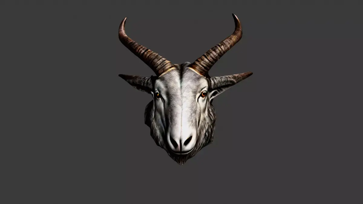 Animal Head Low-poly 3D model 37