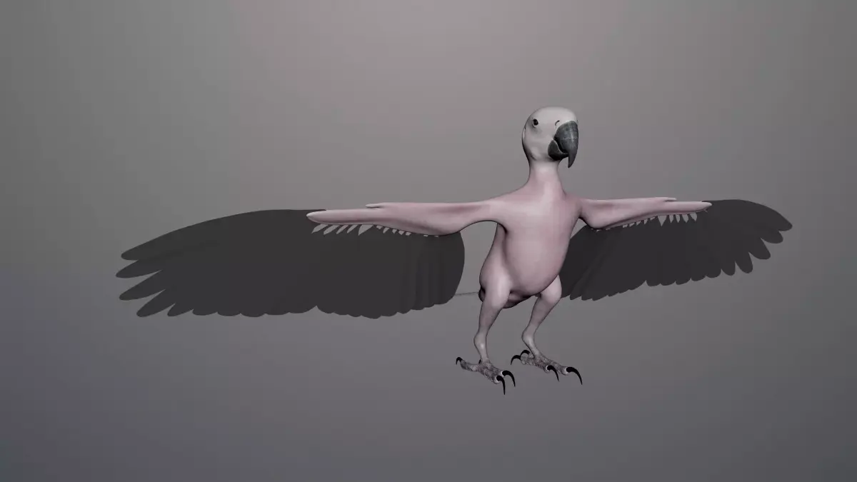Base model of Macaw  3D model