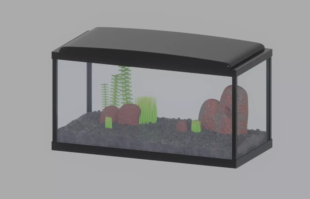 Aquarium Fish Tank 3D model buy