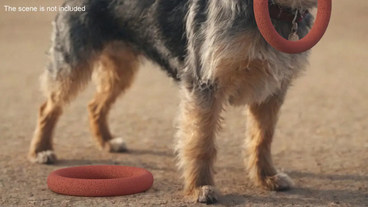 Ring Dog Toy Used 3D model