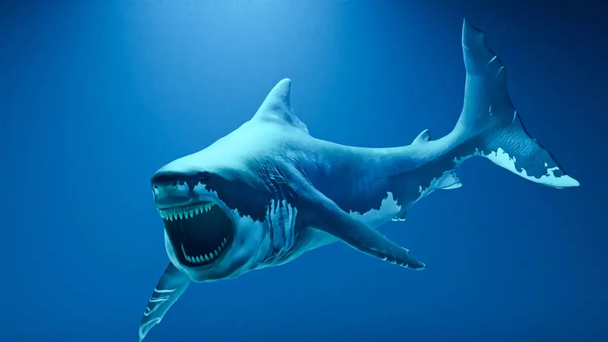 Great White Shark - 3D Model 3D model
