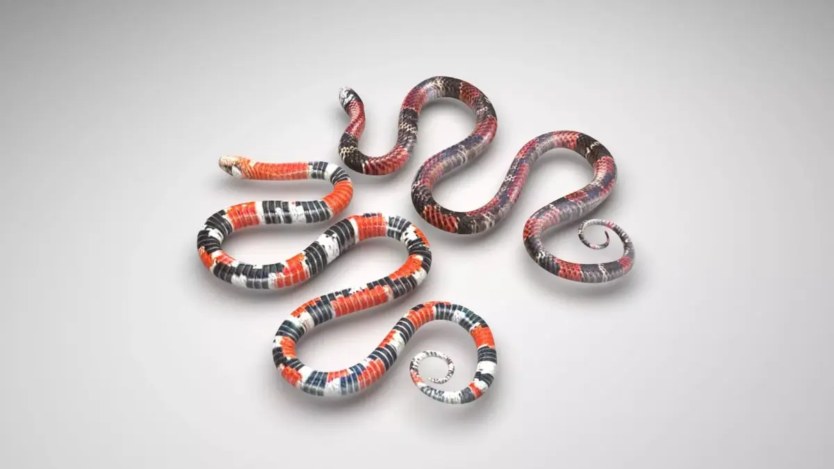 Snakes 3D model