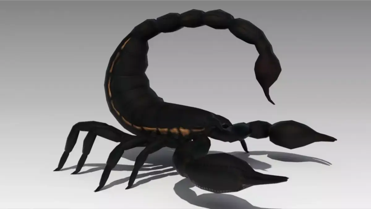 Black Scorpion Low-poly 3D model