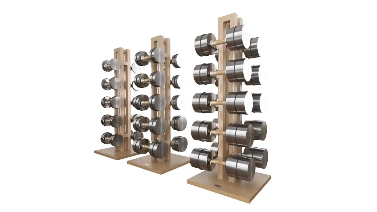 Dumbbell set 3D model
