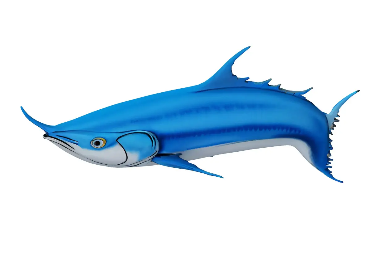 Bluefin tuna Low-poly 3D model purchase