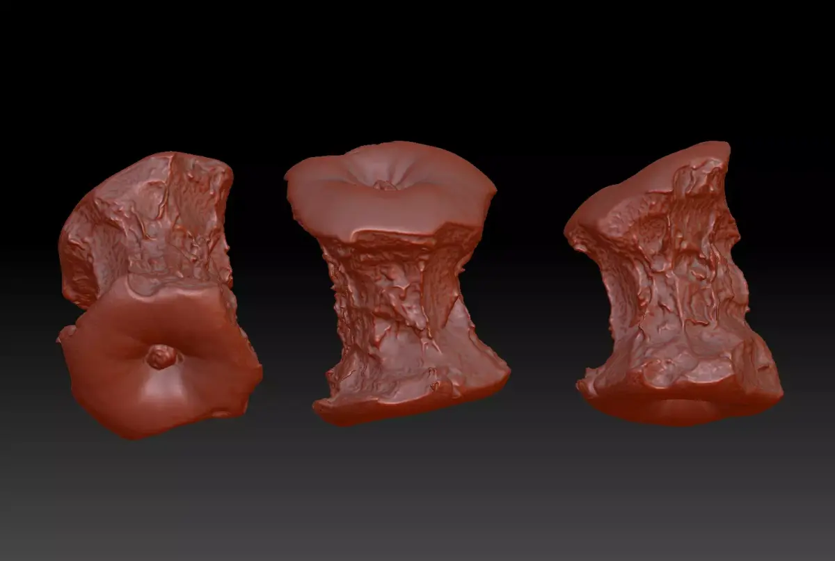 3D printing of apple core can be used for commercial use 3D print model