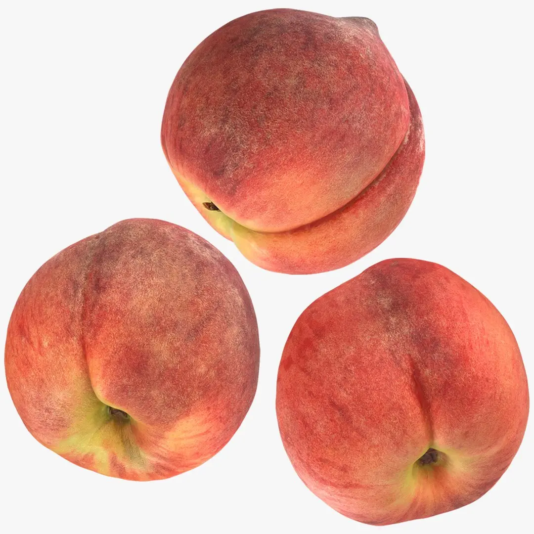 Peach Fruit Collection 3D model