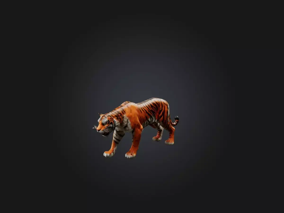 Realistic Hurt Tiger Model Low-poly 3D model