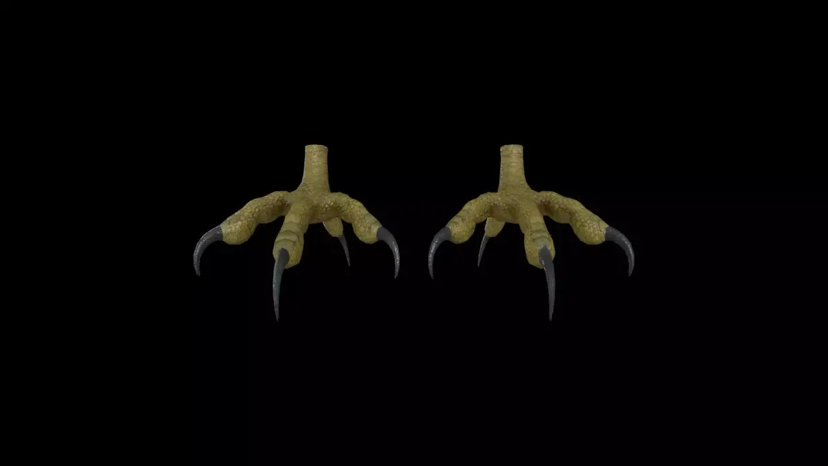 FOOT001 Rigged Bird Feet Low-poly 3D model