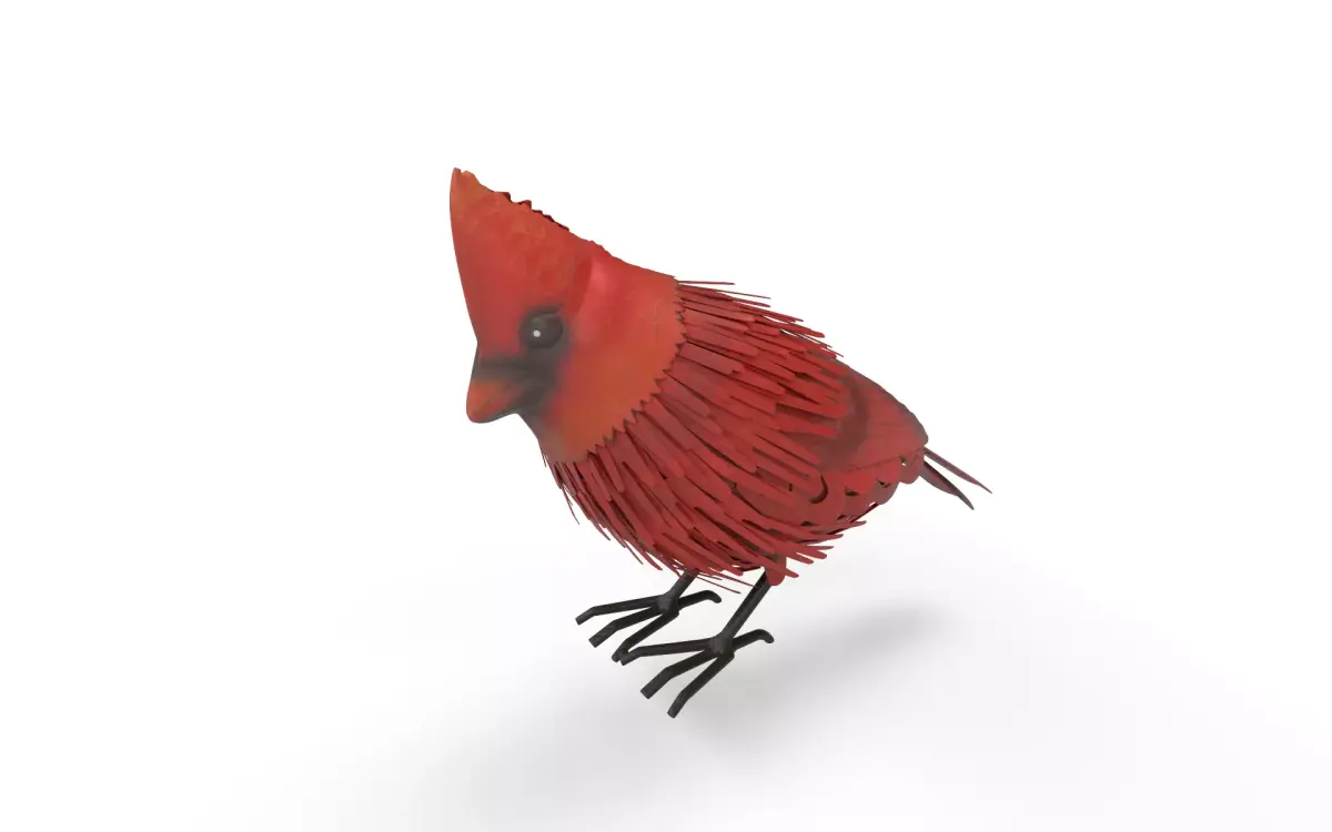 Red Bird  Low-poly 3D model