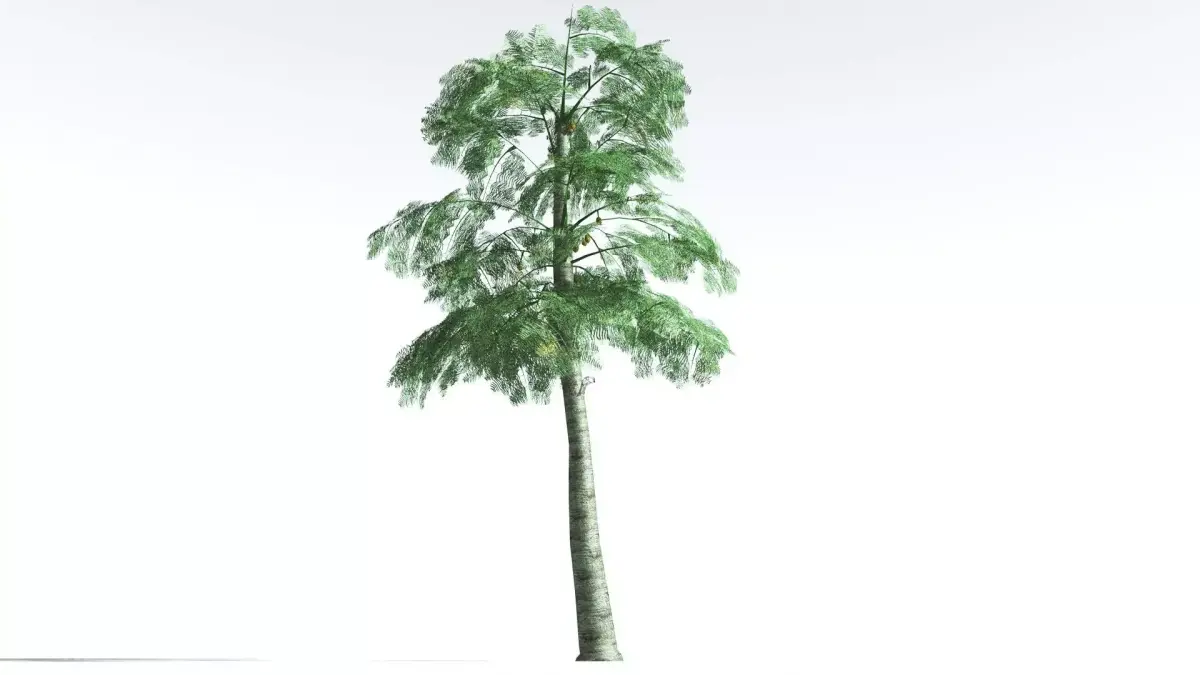 EVERYPlant Alethopteris Seed Fern LowPoly 4 --12 Models-- Low-poly 3D model
