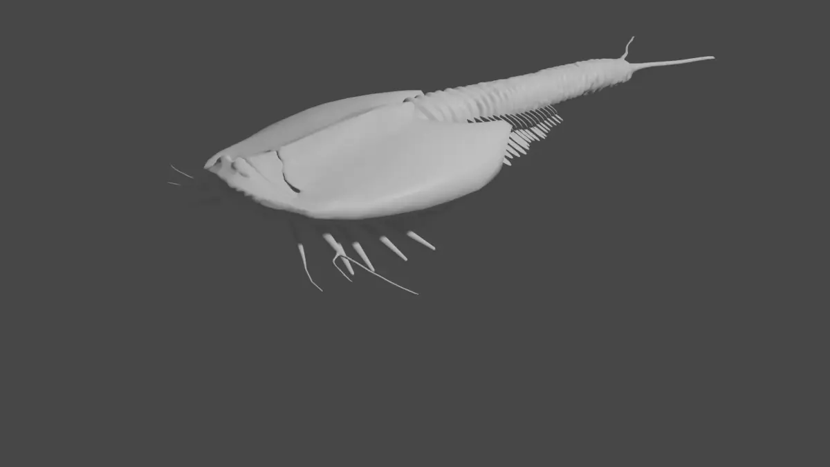triops sea creature 3D model