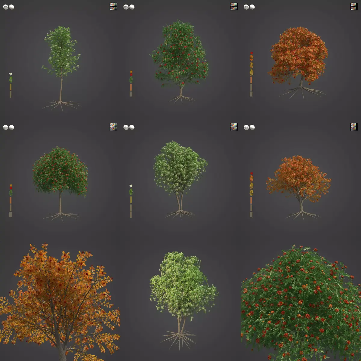 2021 PBR European Mountain Ash Collection - Sorbus Aucuparia  3D model