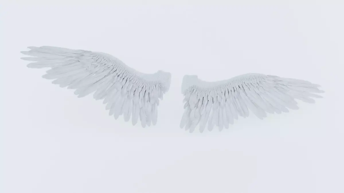 Angel or bird wings 3D model