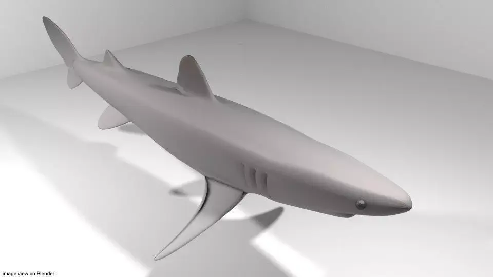 Shark - Piked 3D model