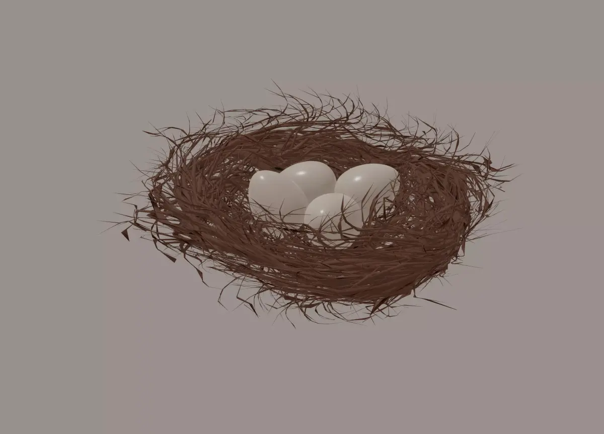 Bird Nest 3D model order