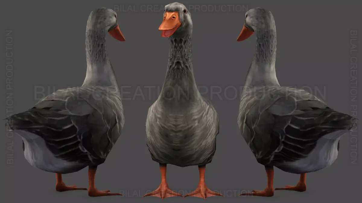 DUCK GRAY ANIMATED Low-poly 3D model
