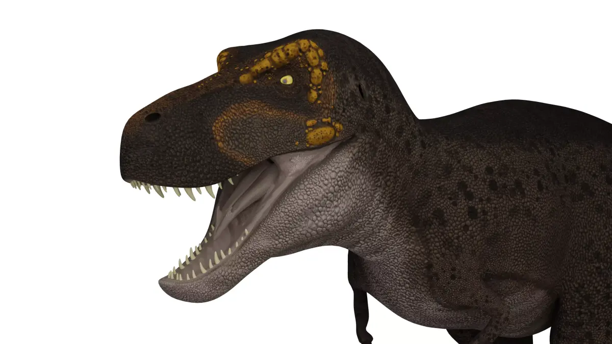 Tyrannosaurus rex  Low-poly 3D model buy