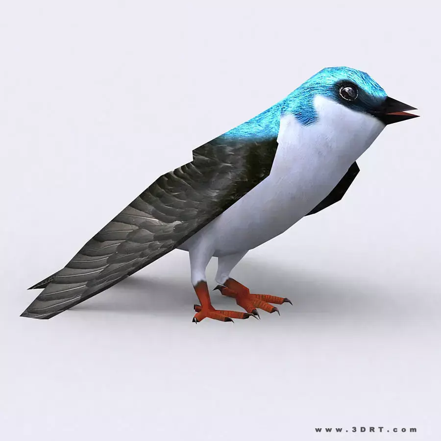 3DRT - Swallow Low-poly 3D model