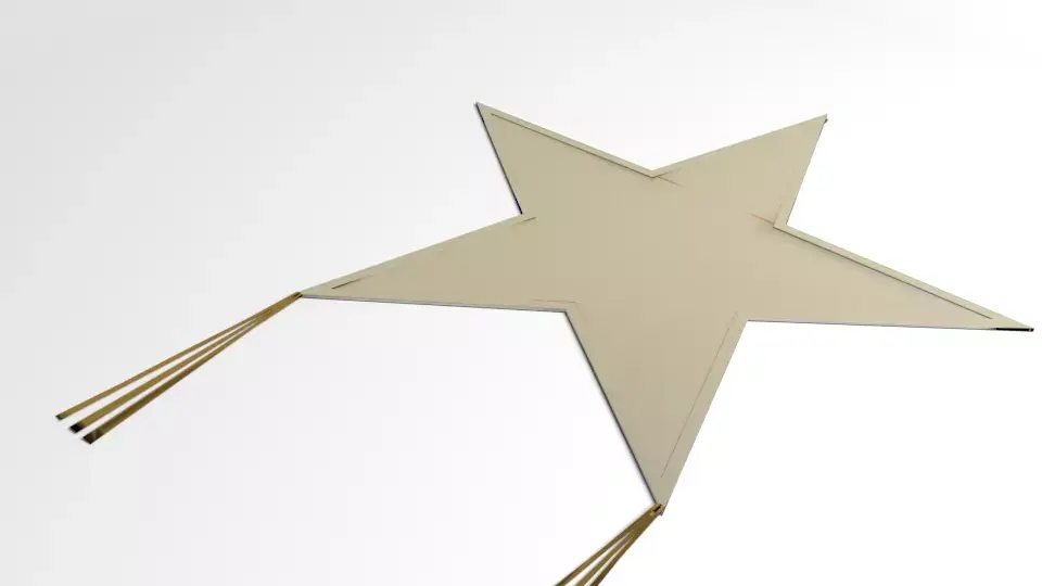 Star Kite 3D model