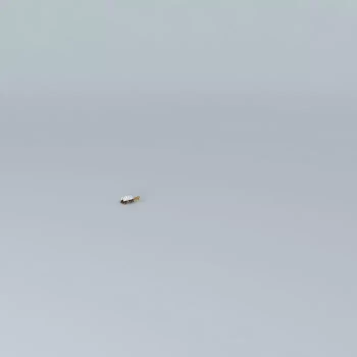 CONASTOGA WAGON 3D model