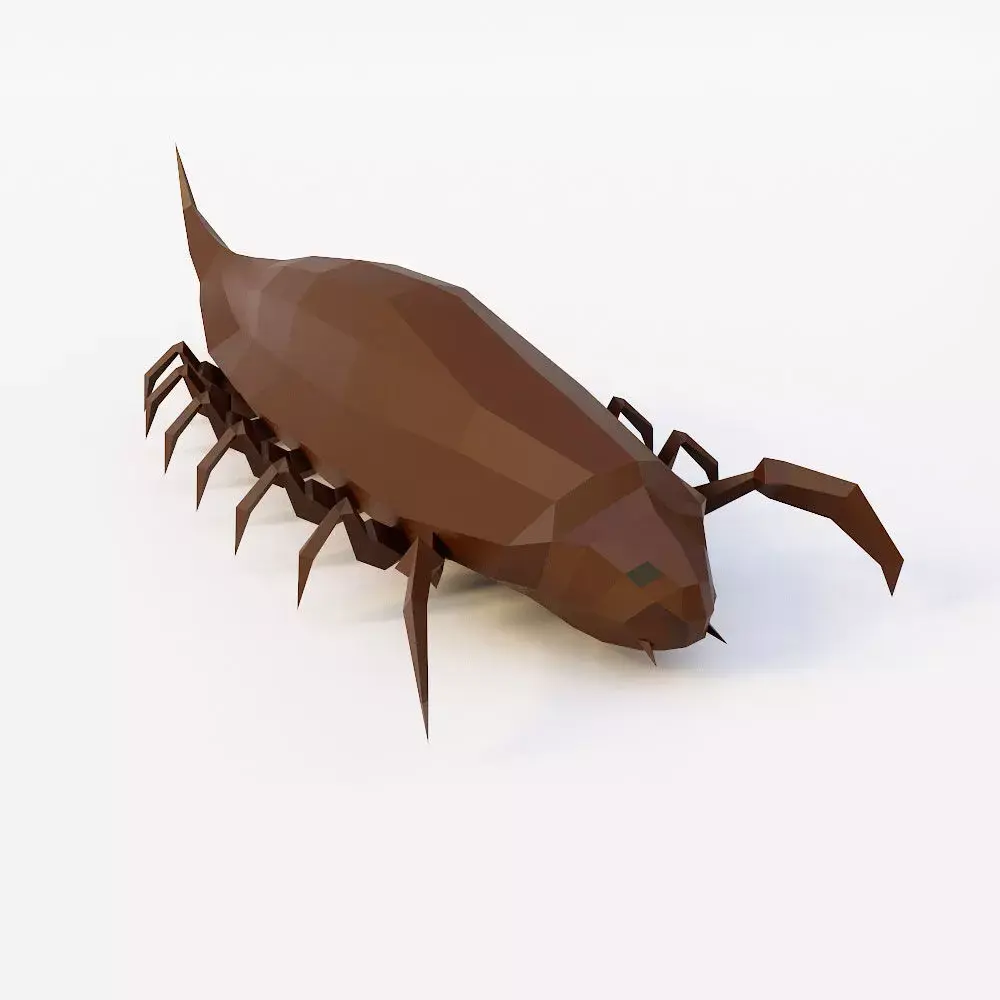 Woodlouse Bug 3d model  Low-poly 3D model