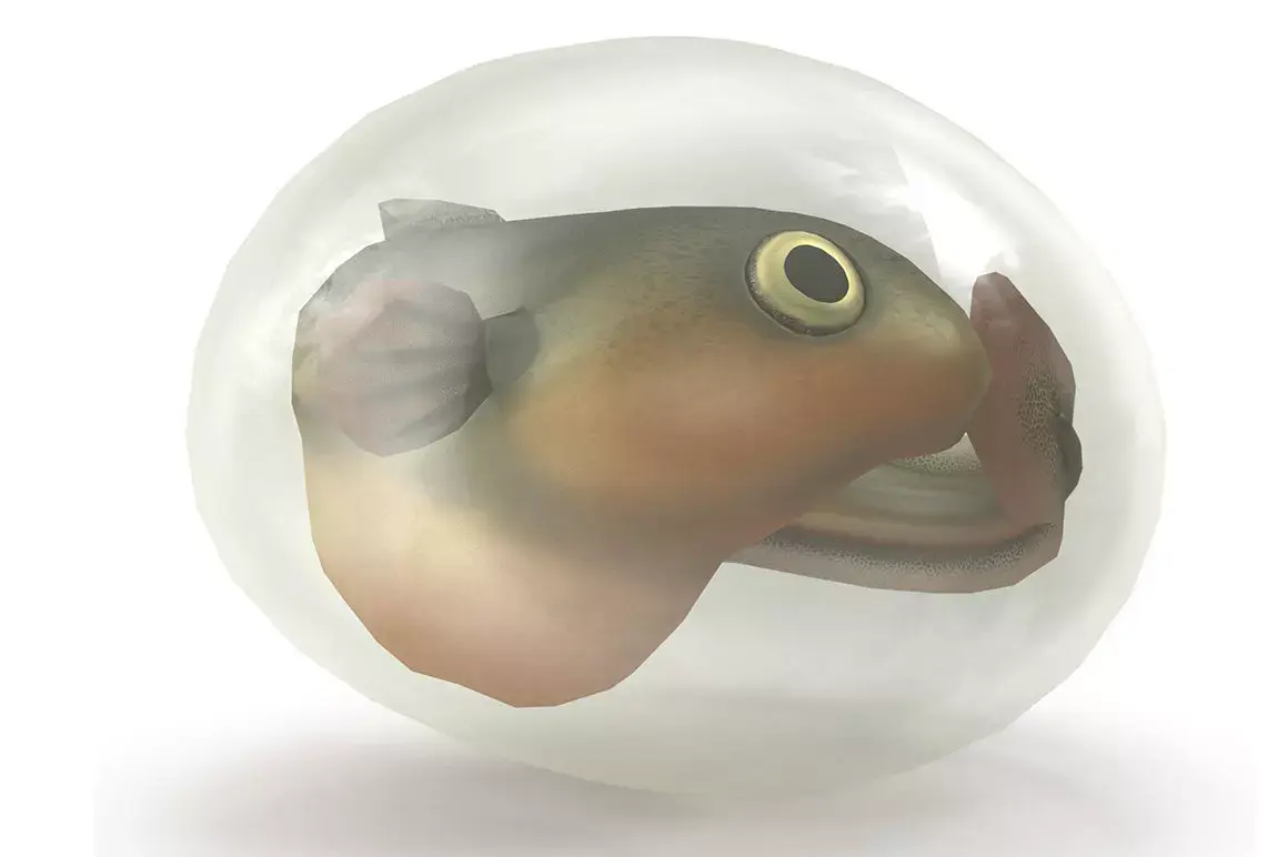 Fish larva Low-poly 3D model
