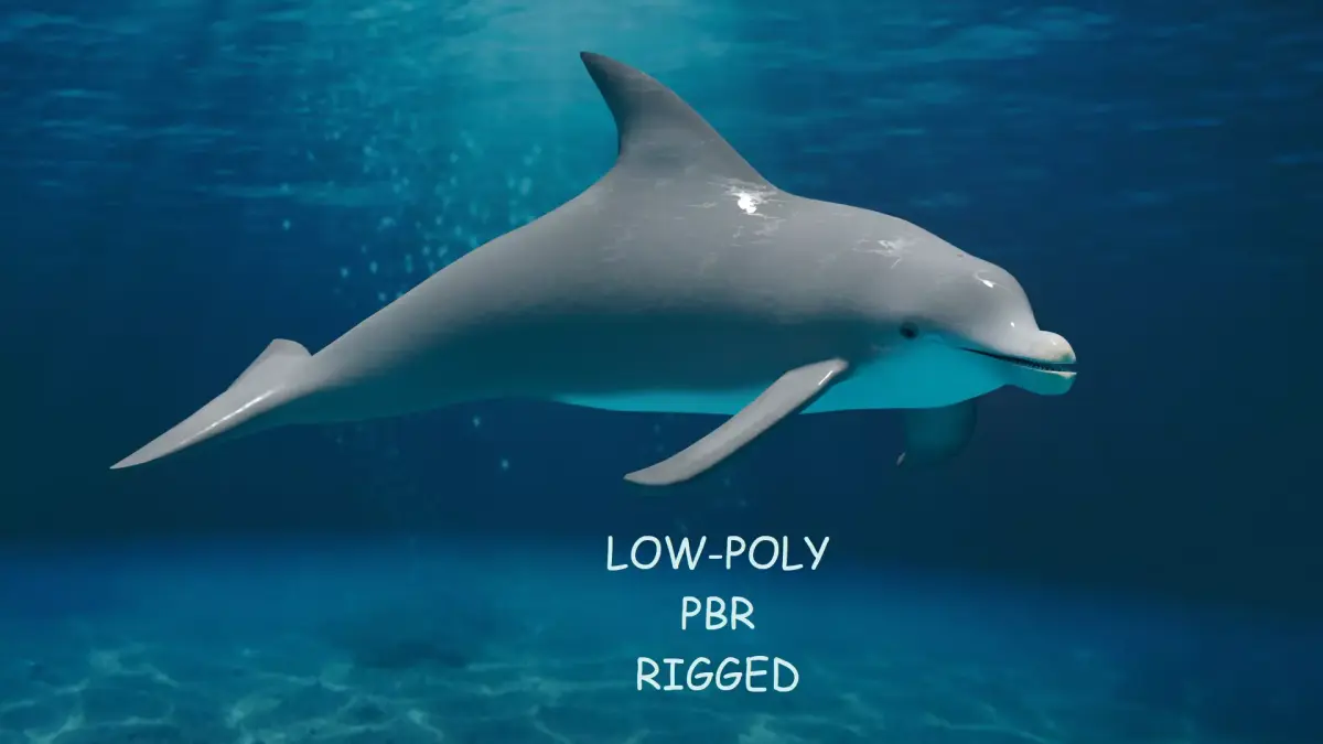 DOLPHIN LOW-POLY 3D MODEL whale tail Low-poly 3D model