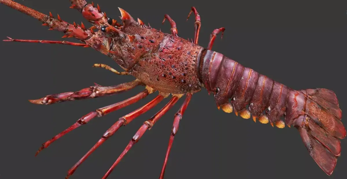 Australian lobster Low-poly 3D model