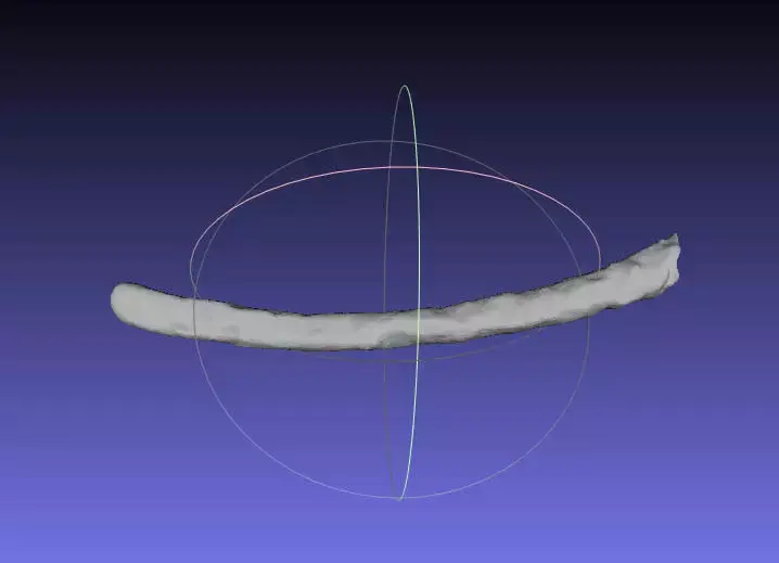 Psittacosaurus Right Dorsal Rib 5 Mirrored Free 3D print model
