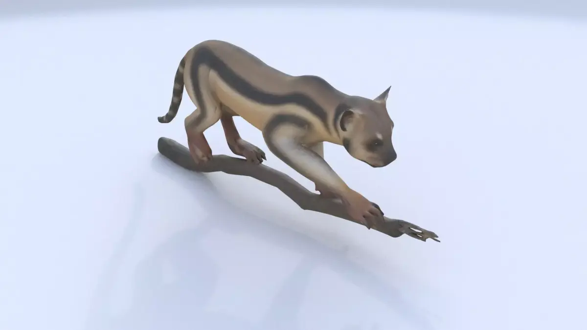 Banded Linsang 3D model