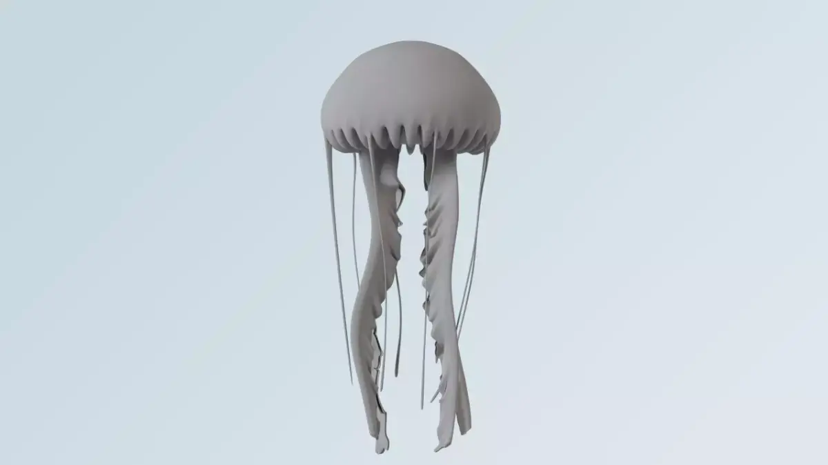 jellyfish 3D model get