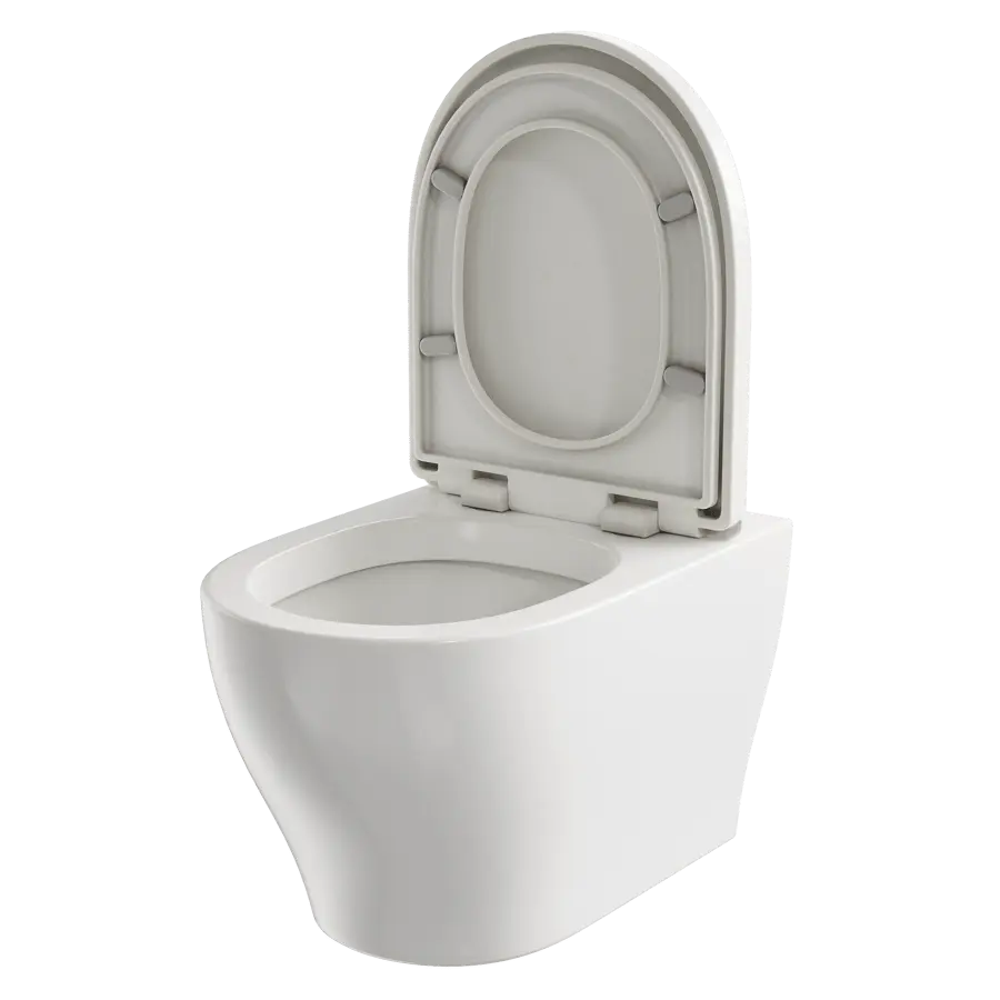  Back-to-Wall Toilet Model 